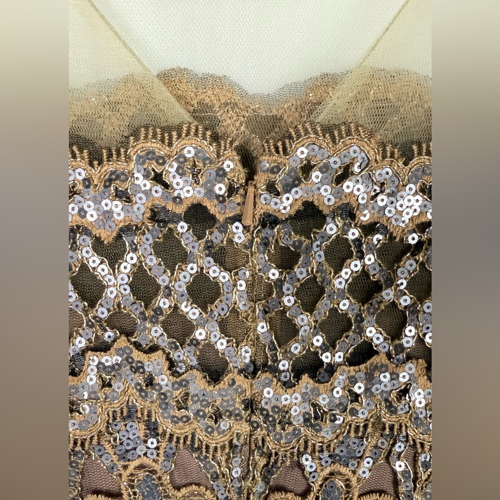 Tadashi Shoji Hawley Sequin Embroidered Gown in copper/rose color Size 10 - Picture 9 of 10
